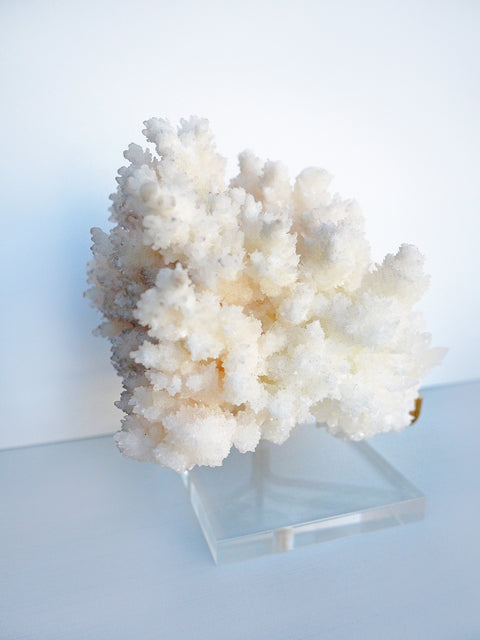Aragonite Crystal X large